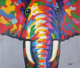 elephant color